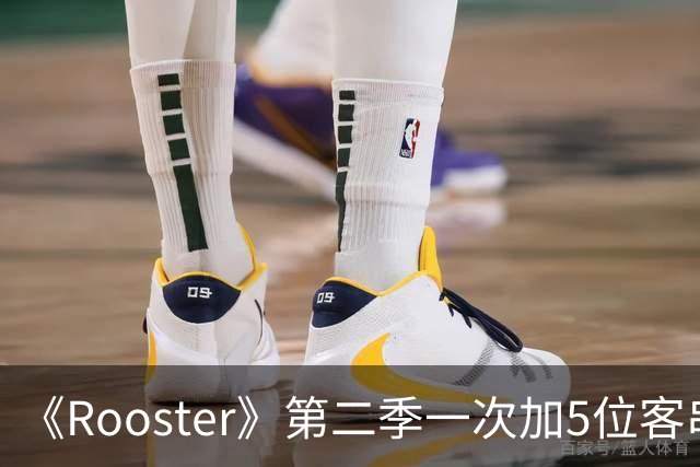 《Rooster》第二季一次加5位客串，阵容名单曝光