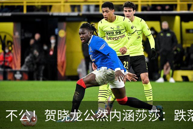 不公！贺晓龙公然内涵莎莎：跌落河北一姐之位，背后竟遭遇网络黑恶势力攻击