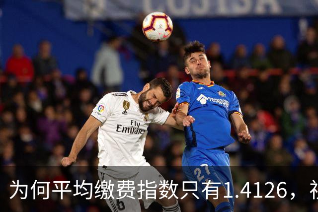 为何平均缴费指数只有1.4126，视同缴费指数却高达2.9753？