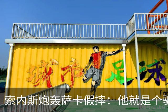 索内斯炮轰萨卡假摔：他就是个骗子