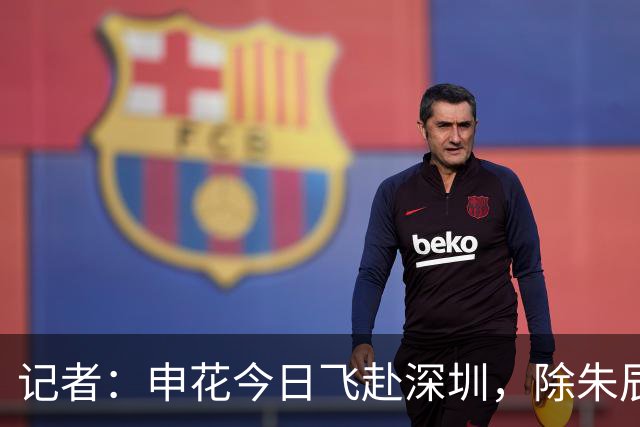 记者：申花今日飞赴深圳，除朱辰杰盖伊等伤员外几乎全员出征
