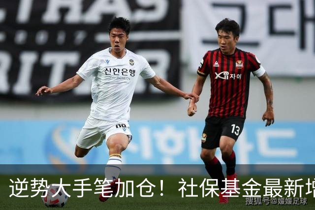 逆势大手笔加仓！社保基金最新增持名单曝光，重点加仓这些板块