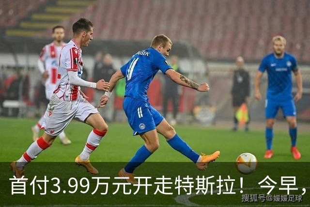 首付3.99万元开走特斯拉！今早，特斯拉推出全新方案