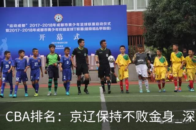 CBA排名：京辽保持不败金身 深圳连续惨负 江苏宁波暂居升降级区域
